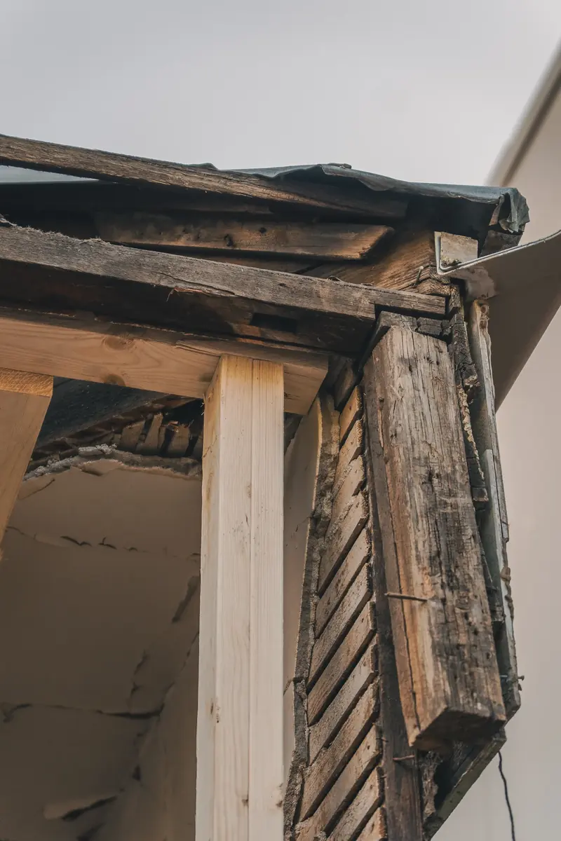 Middle Park Residence — structure exposed